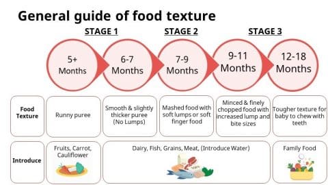 A Mother’s Guide: Introducing Solids to Your Baby