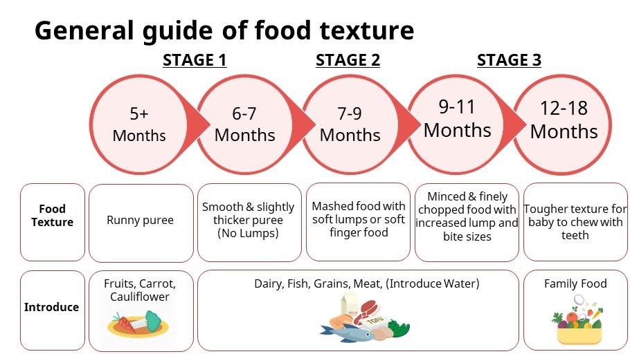 12-18 Months Baby Food Chart