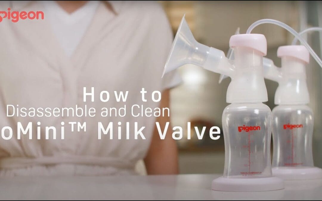 How To Disassemble and Clean Pigeon GoMini™ Improved Milk Valve