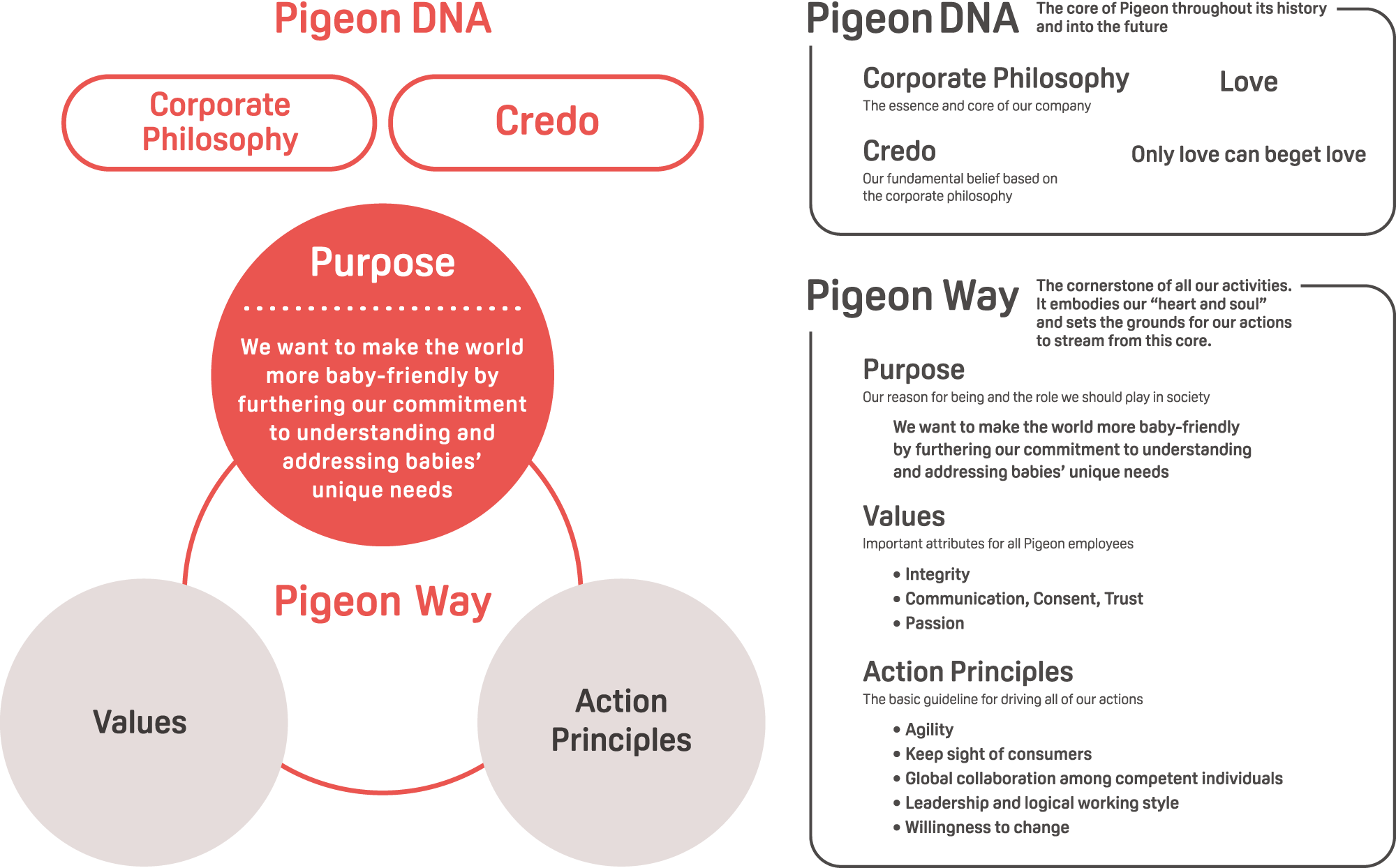 p_pigeonway_about_dna_pc_en Pigeon DNA