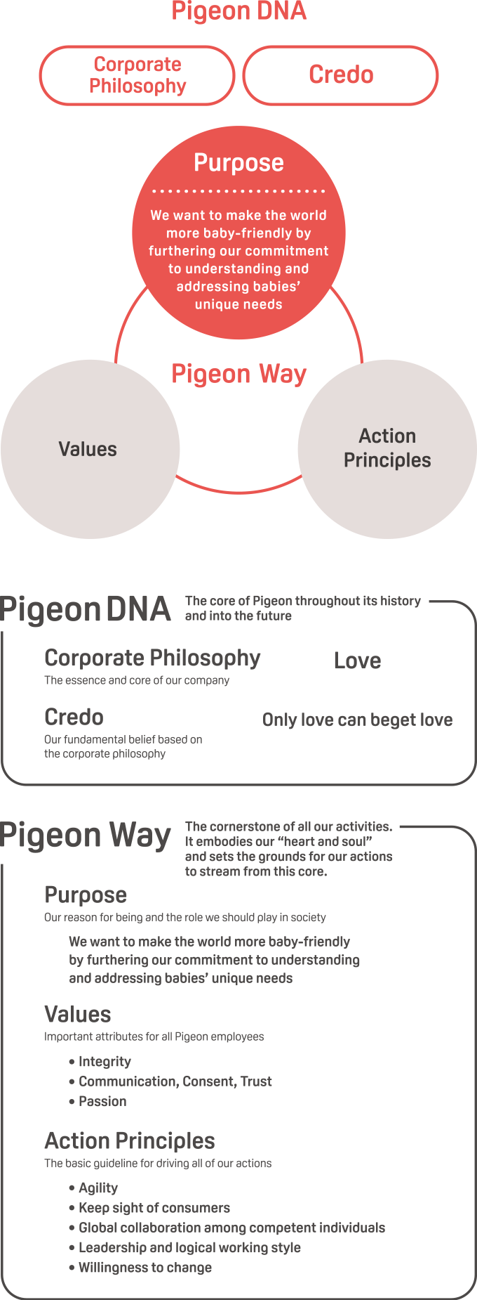 p_pigeonway_about_dna_sp_en Pigeon DNA
